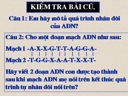 Bài 17. Mối quan hệ giữa gen và ARN