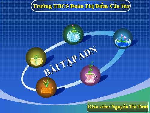 Bài tập trắc nghiệm ADN