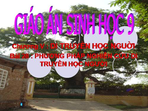 Bài 28. Phương pháp nghiên cứu di truyền người