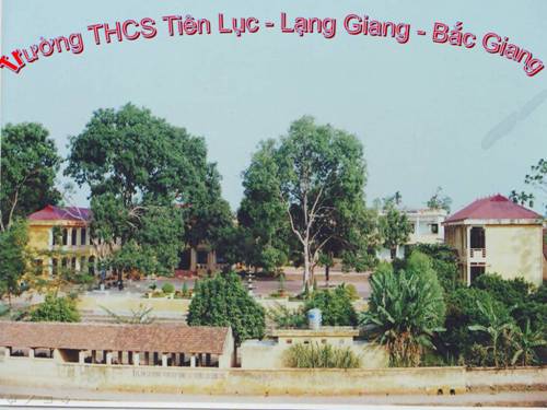 Bài 28. Phương pháp nghiên cứu di truyền người