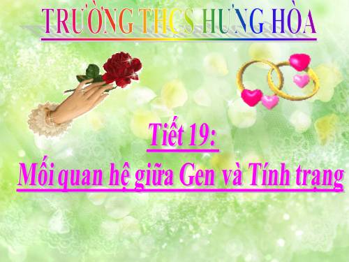 Bài 19. Mối quan hệ giữa gen và tính trạng