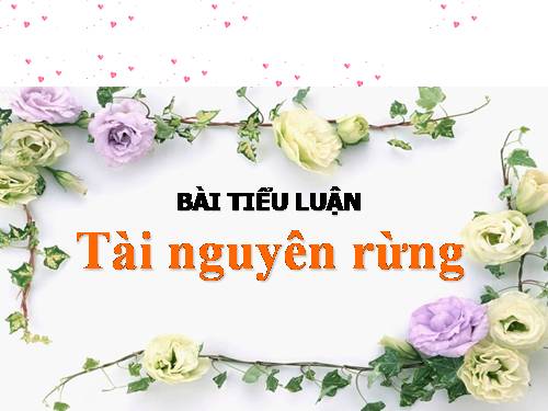 Tài nguyên rừng