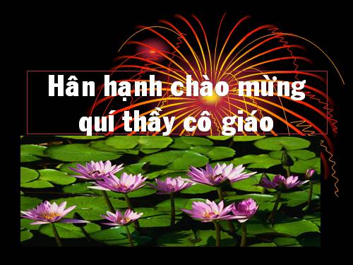 Bài 50. Hệ sinh thái