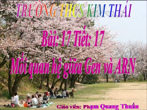 Bài 17. Mối quan hệ giữa gen và ARN