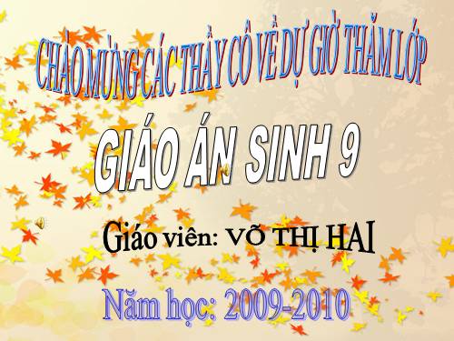 Bài 21. Đột biến gen