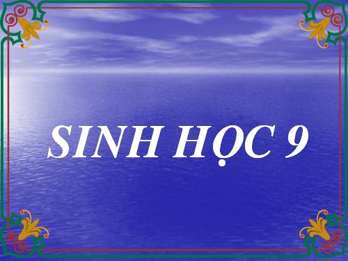 Bài 42. Ảnh hưởng của ánh sáng lên đời sống sinh vật