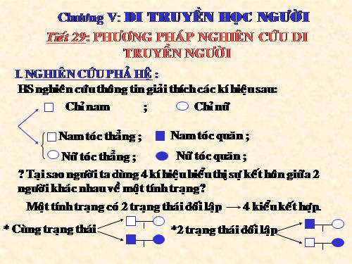 Bài 28. Phương pháp nghiên cứu di truyền người