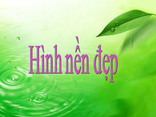 Anh nen cuc dep - vung cao