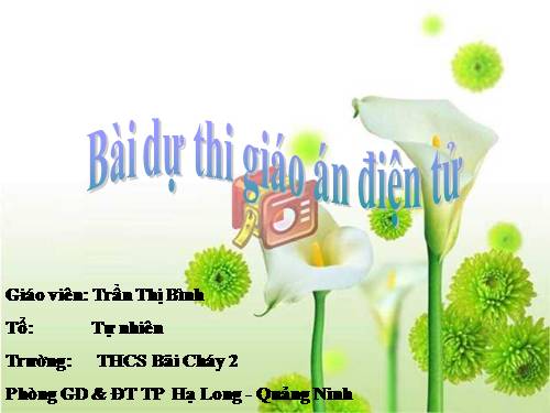 Bài 17. Mối quan hệ giữa gen và ARN