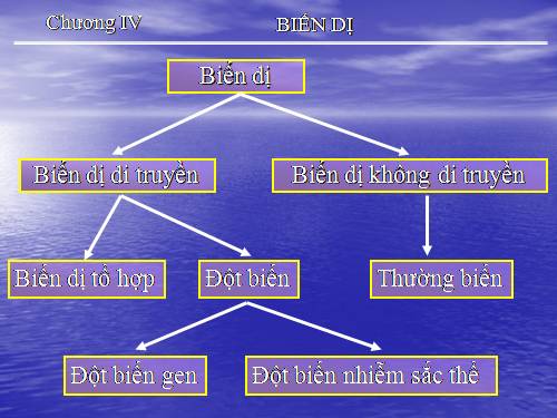 Bài 21. Đột biến gen