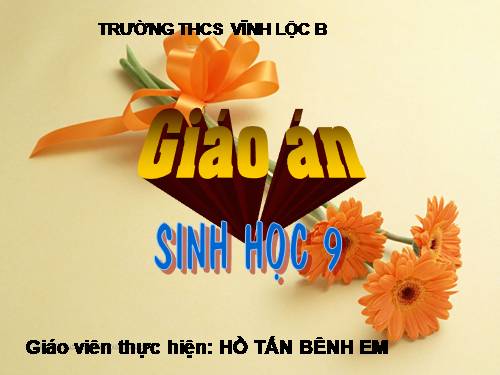 Bài 12. Cơ chế xác định giới tính