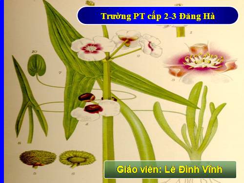 Bài 25. Thường biến