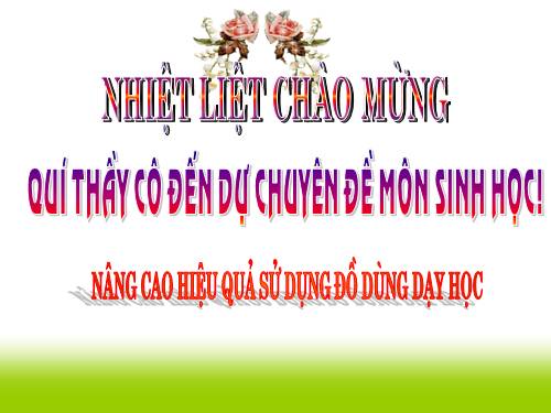 Bài 16. ADN và bản chất của gen