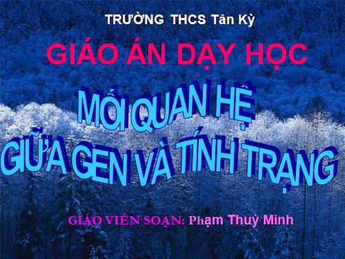 Bài 19. Mối quan hệ giữa gen và tính trạng