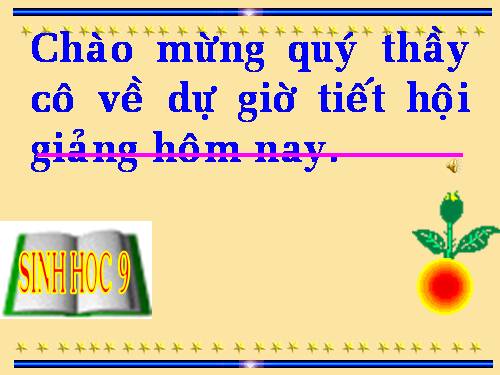 Bài 48. Quần thể người