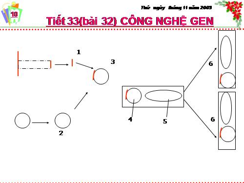 Bài 32. Công nghệ gen