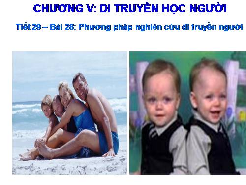 Bài 28. Phương pháp nghiên cứu di truyền người