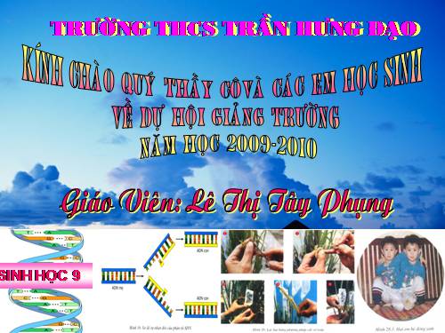 Bài 17. Mối quan hệ giữa gen và ARN