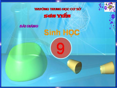 Bài 23. Đột biến số lượng nhiễm sắc thể