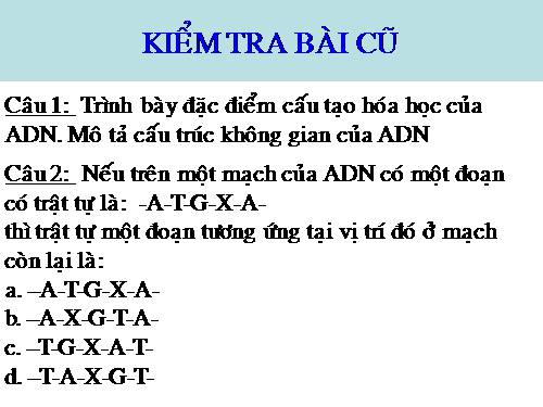 Bài 16. ADN và bản chất của gen