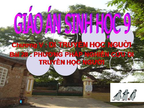 Bài 28. Phương pháp nghiên cứu di truyền người