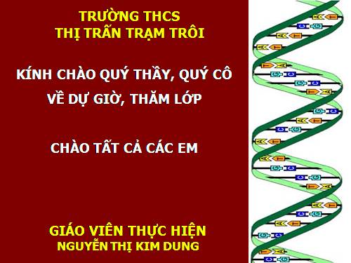 Bài 21. Đột biến gen