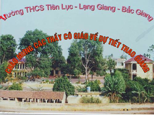 Bài 24. Đột biến số lượng nhiễm sắc thể (tiếp theo)