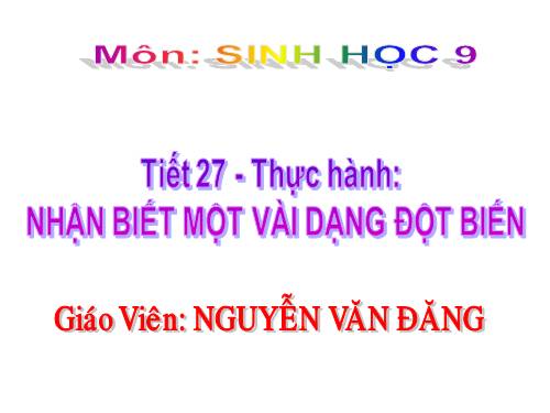 Bài 26. Thực hành: Nhận biết một vài dạng đột biến