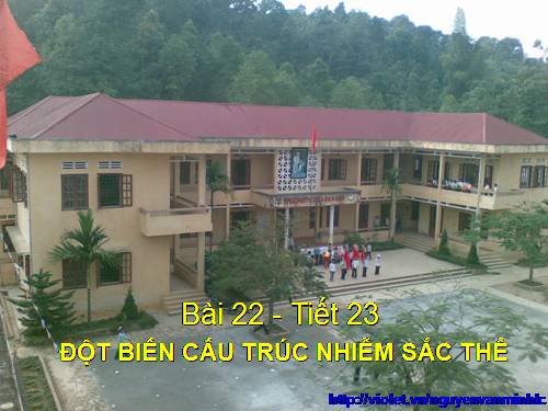 Bài 22. Đột biến cấu trúc nhiễm sắc thể