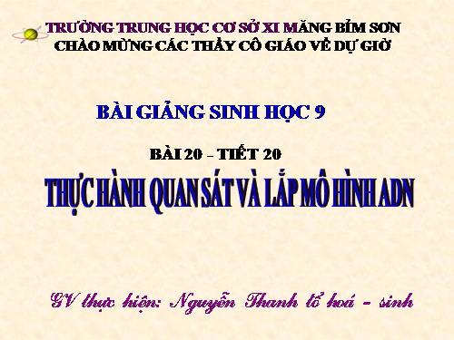 Bài 20. Thực hành: Quan sát và lắp mô hình ADN