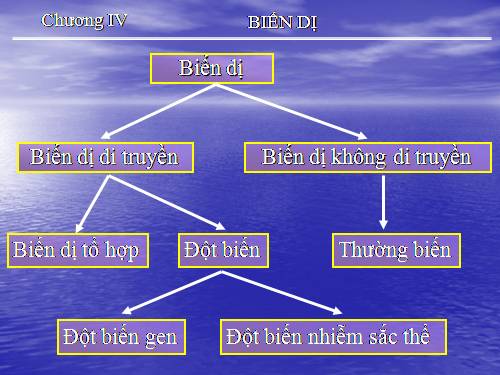 Bài 21. Đột biến gen