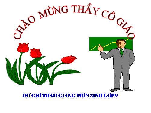 Bài 19. Mối quan hệ giữa gen và tính trạng