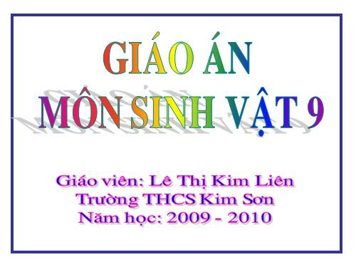 Bài 19. Mối quan hệ giữa gen và tính trạng