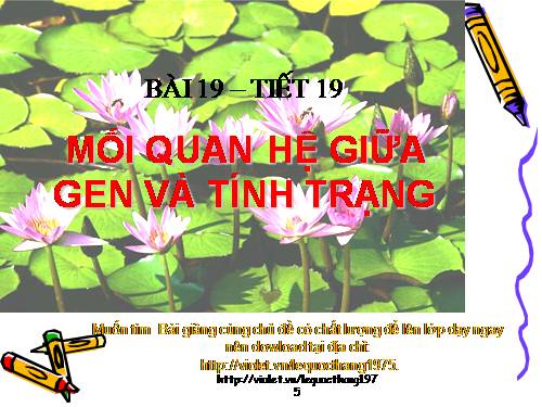 Bài 19. Mối quan hệ giữa gen và tính trạng