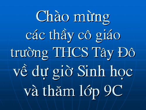 Bài 17. Mối quan hệ giữa gen và ARN