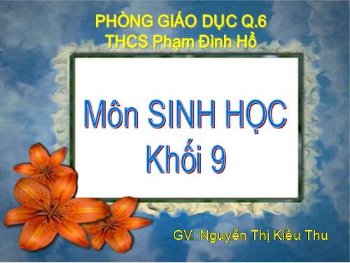 Bài 17. Mối quan hệ giữa gen và ARN