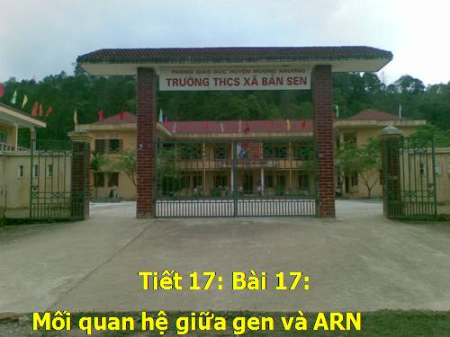 Bài 17. Mối quan hệ giữa gen và ARN