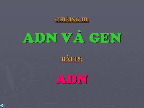 Bài 15. ADN