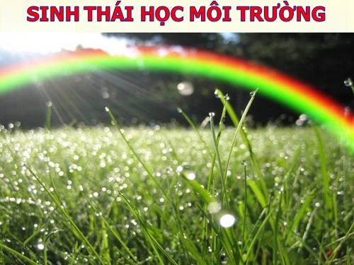 Bài 51. Thực hành: Hệ sinh thái