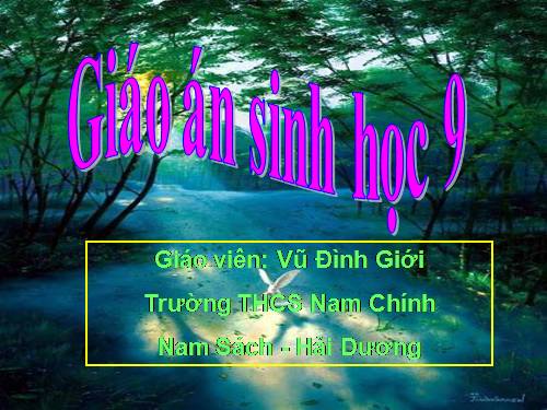 Bài 11. Phát sinh giao tử và thụ tinh