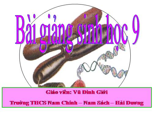 Bài 12. Cơ chế xác định giới tính