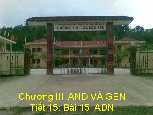 Bài 15. ADN