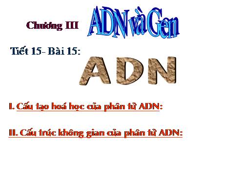 Bài 15. ADN