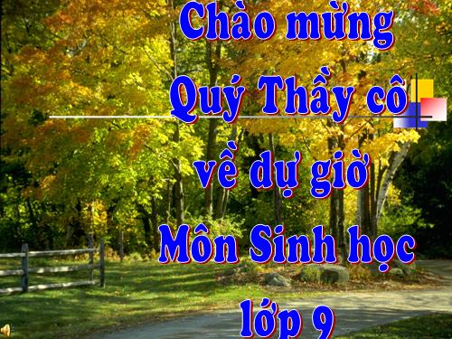 Bài 12. Cơ chế xác định giới tính