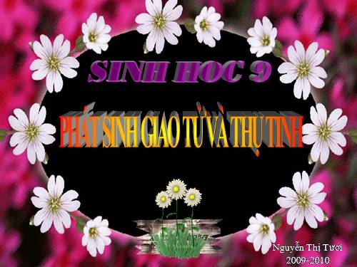 Bài 11. Phát sinh giao tử và thụ tinh