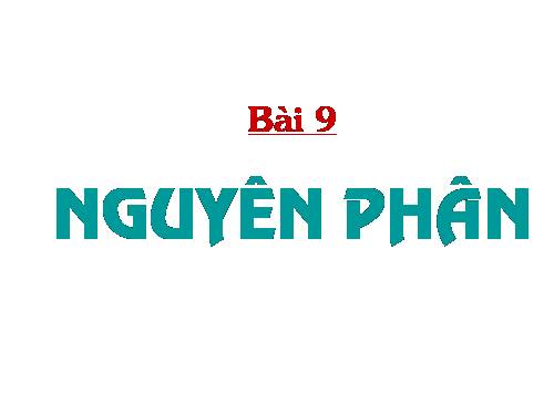 Bài 9. Nguyên phân