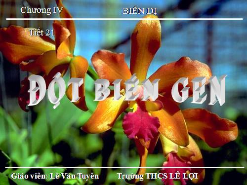 Bài 21. Đột biến gen