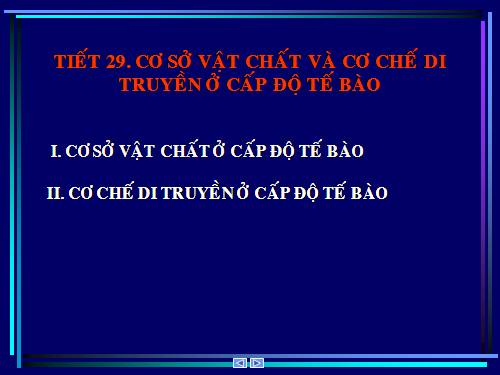 Tiết 29. Cơ sở vật chất và cơ chế di truyền ở cấp độ tế bào
