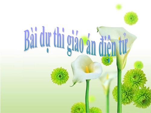 Bài 17. Mối quan hệ giữa gen và ARN