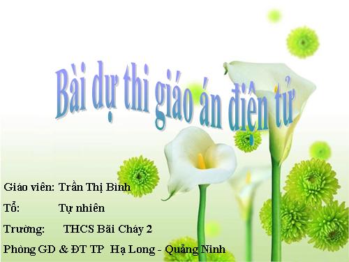 Bài 17. Mối quan hệ giữa gen và ARN